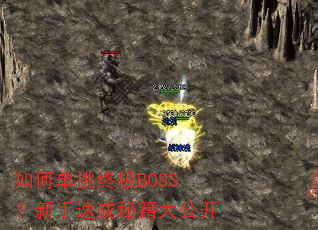 如何单挑终极BOSS?新手速成秘籍大公开 如何单挑终极BOSS?新手速成秘籍大公开