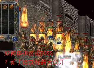 如何单挑终极BOSS?新手速成秘籍大公开 如何单挑终极BOSS?新手速成秘籍大公开