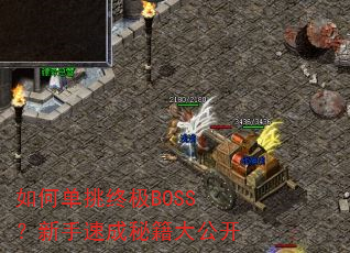 如何单挑终极BOSS?新手速成秘籍大公开 如何单挑终极BOSS?新手速成秘籍大公开
