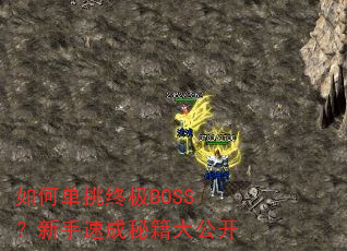 如何单挑终极BOSS?新手速成秘籍大公开 如何单挑终极BOSS?新手速成秘籍大公开
