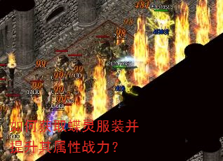 如何获取蝶灵服装并提升其属性战力? 如何获取蝶灵服装并提升其属性战力?