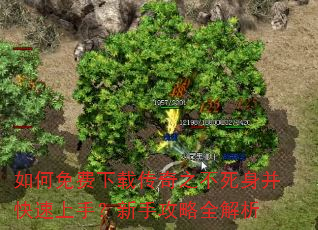 如何免费下载传奇之不死身并快速上手?新手攻略全解析 如何免费下载传奇之不死身并快速上手?新手攻略全解析