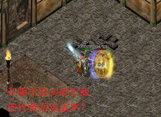 在哪里能买到正版的传奇游戏版本? 在哪里能买到正版的传奇游戏版本?