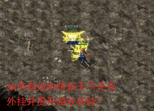 如何有效防范新天下无双外挂并提升游戏体验? 如何有效防范新天下无双外挂并提升游戏体验?