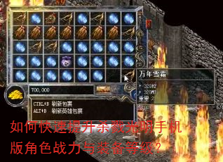 如何快速提升杀戮光明手机版角色战力与装备等级? 如何快速提升杀戮光明手机版角色战力与装备等级?