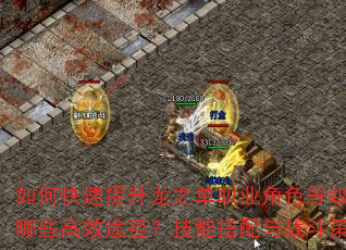 如何快速提升龙之单职业角色等级?装备获取有哪些高效途径?技能搭配与战斗策略如何优化? 如何快速提升龙之单职业角色等级?装备获取有哪些高效途径?技能搭配与战斗策略如何优化?