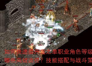 如何快速提升龙之单职业角色等级?装备获取有哪些高效途径?技能搭配与战斗策略如何优化? 如何快速提升龙之单职业角色等级?装备获取有哪些高效途径?技能搭配与战斗策略如何优化?