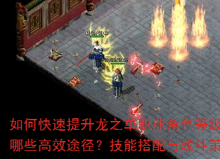 如何快速提升龙之单职业角色等级?装备获取有哪些高效途径?技能搭配与战斗策略如何优化? 如何快速提升龙之单职业角色等级?装备获取有哪些高效途径?技能搭配与战斗策略如何优化?